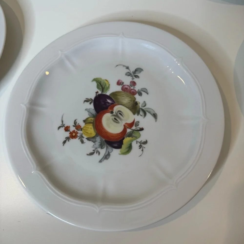 VOHENSTRAUSS-Johann Seltmann-Bavarian Germany Botanical Fruit salad plates